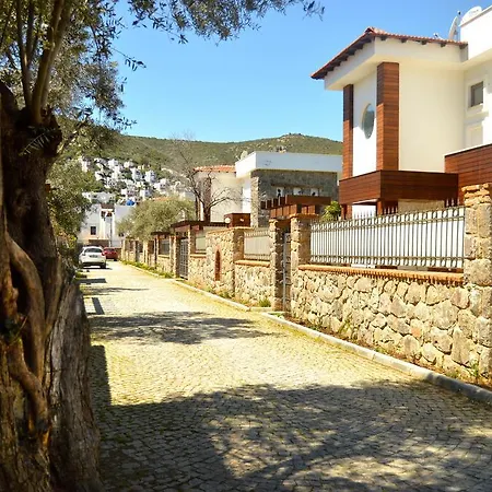 Important Group Villa Bd459 Torba 3+1 * Bodrum