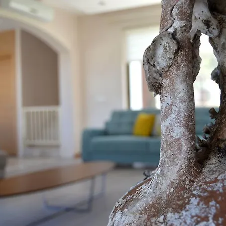 Villa Important Group Villa Bd459 Torba 3+1 Bodrum