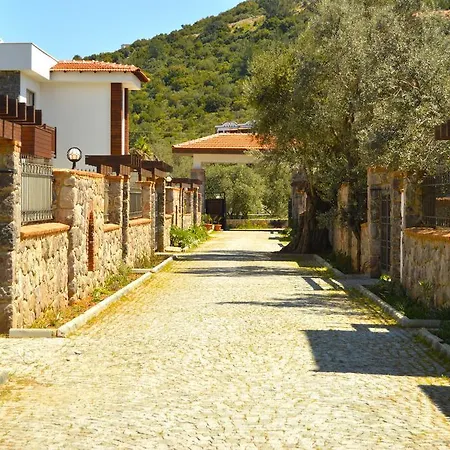 Important Group Villa Bd459 Torba 3+1 Bodrum